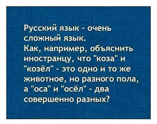 Русский язык очень сложный язык Как например объяснить иностранцу что коза и козёл это одно и то же животное но разного пола а оса и осёл два совершенно разных