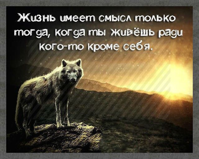 Жизнь имеет смыоА тОАЬКО тогэа Коша ты живёшь раэц