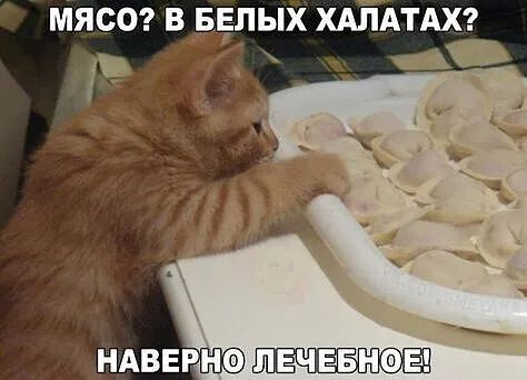 МЯСО В БЕЛЫХ ХАЛАТАХ_ и НАВЕРН