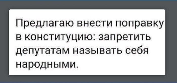 Предлагаю внести поправку в конституцию запретить депутатам называть себя народными