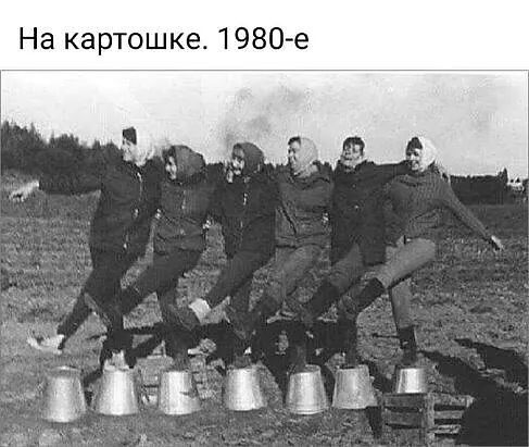 На картошке 1980е