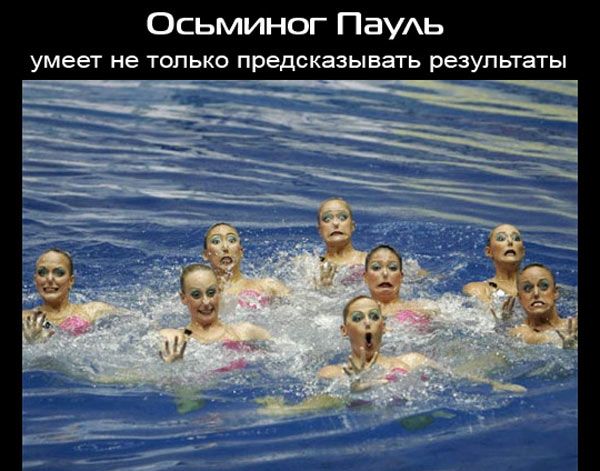 Осьминог ПауАь умеет не ТОЛЬКО предсказывать результаты