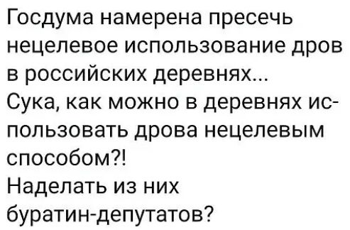 Госдума намерена пресечь нецелевое использование дров в российских деревнях Сука как можно в деревнях ис пользовать дрова нецелевым способом Наделать из них буратиндепутатов