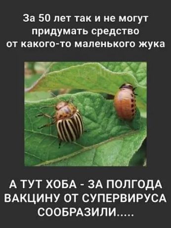 За 50 лет так и не могут придумать средство от какого то маленького жука А ТУТ ХОБА ЗА ПОЛГОДА ВАКЦИНУ ОТ СУПЕРВИРУСА СООБРАЗИЛИ