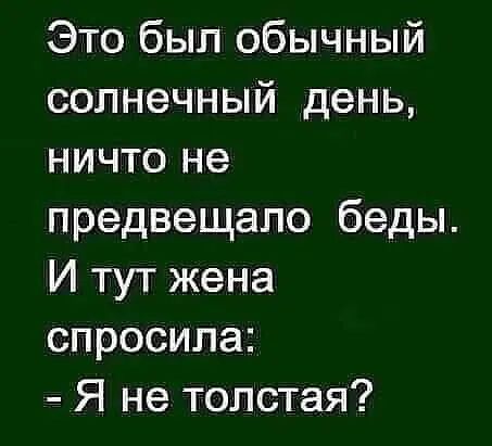 Это был обычный солнечный день ничто не предвещало беды И тут жена спросила Я не толстая