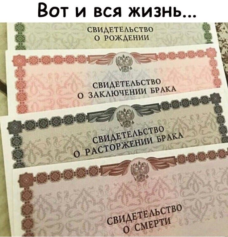 Вот и вся жизнь свидвтыьств 0 РОЖАЕНИИ Е шива 1 свидвтыъство о ЗАКАЮЧЕНИИ эмм