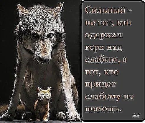 СИ ЕЕ Не тот кто