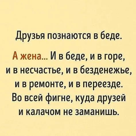 Друзья познаются в беде А жена И в беде и в горе и в несчастье и в безденежье и в ремонте и в переезде Во всей фигне куда друзей и калачом не заманишь