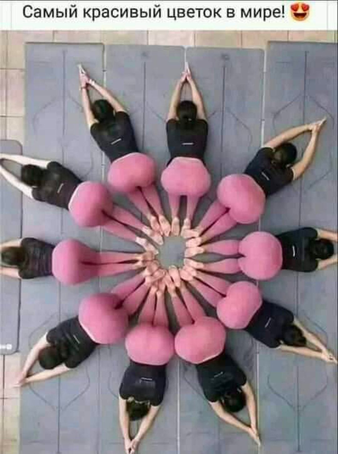Самый красивый цветок в мире