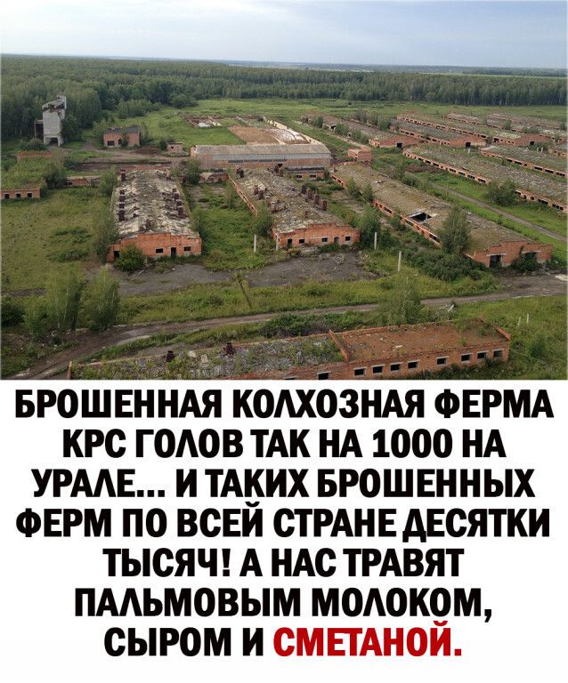 БР0ШЕННАЯ К0АХ03НАЯ ФЕРМА КРС ГОАОВ ТАК НА 1000 НА УРААЕ И ТАИИХ БРОШЕННЫХ ФЕРМ ПО ВСЕИ СТРАНЕ АЕСЯТКИ ТЫСЯЧ А НАС ТРАВЯТ ПААЬМОВЫМ МОАОКОМ СЫРОМ И СМЕТАНОИ