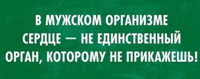 В МУЖСКОМ ОРГАНИЗМЕ СЕРДЦЕ НЕ ЕДИНСТВЕННЫЙ ОРГАН КОТОРОМУ НЕ ПРИКАЖЕШЬ