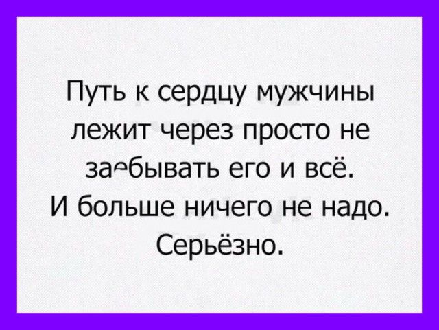 Путь к сердцу мужчины лежит через просго не заебывать его и всё И больше ничего не надо Серьёзно