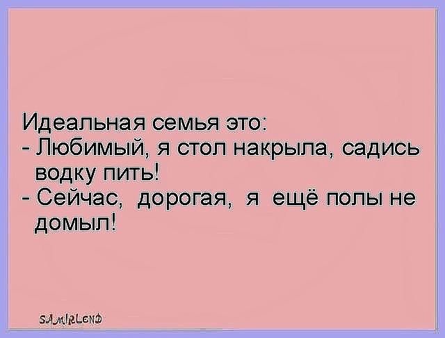 Идеальная семья это Любимый я стоп накрыла садись водку пить Сейчас дорогая я ещё попы не домып змшщэ