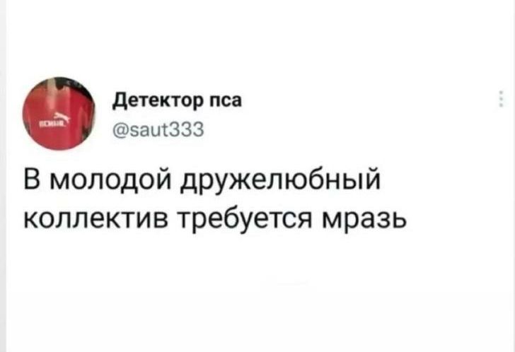 детектор пса зашЗЗЗ В молодой дружелюбный коллектив требуется мразь