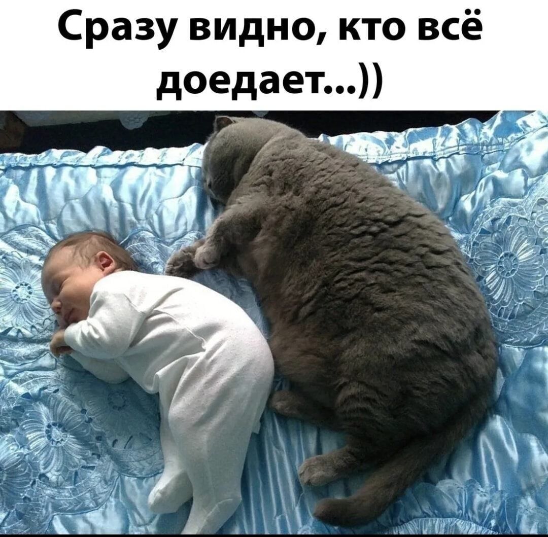 Сразу видно кто всё