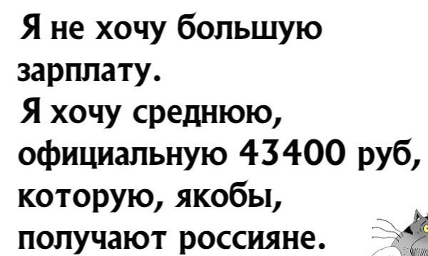 Я не хочу большую зарплату Я хочу среднюю официальную 43 400 руб которую якобы получают россияне
