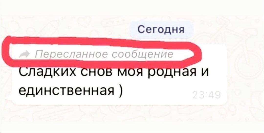 Сегодня единственная