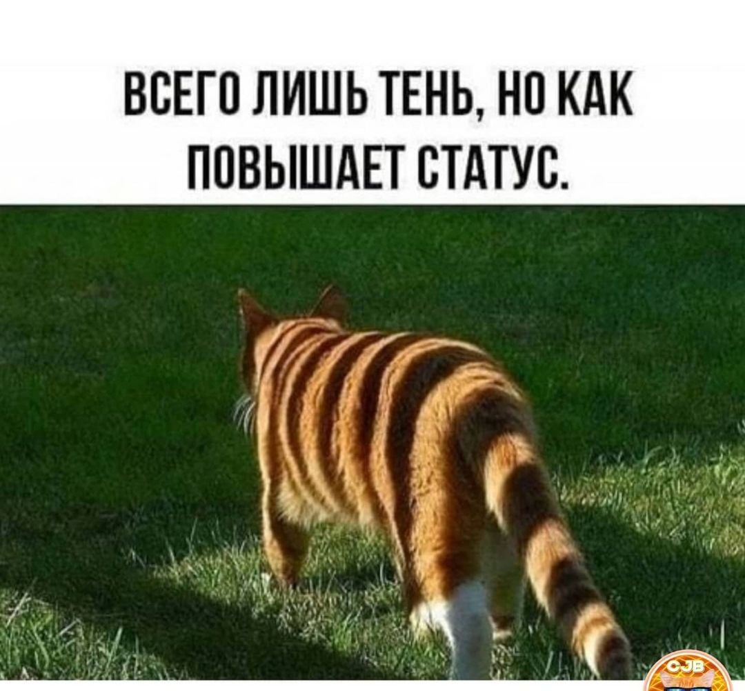 ВСЕГО ЛИШЬ ТЕНЬ НП КАК ППВЫШАЕТ СТАТУС
