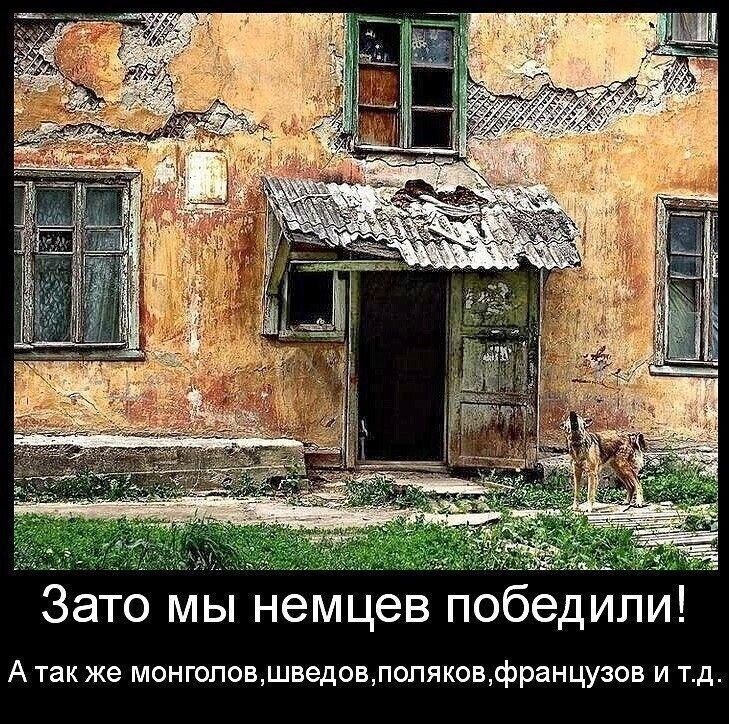м Зато мы немцев победили А так же монголовшведовпопяковфранцузов и тд