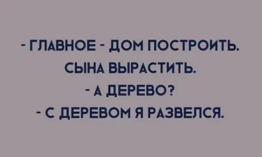 ГЛАВНОЕ дОМ ПОСТРОИТЬ СЫНА ВЫРАСТИТЬ А дЕРЕВО С дЕРЕВОМ Я РАЗВЕПСЯ