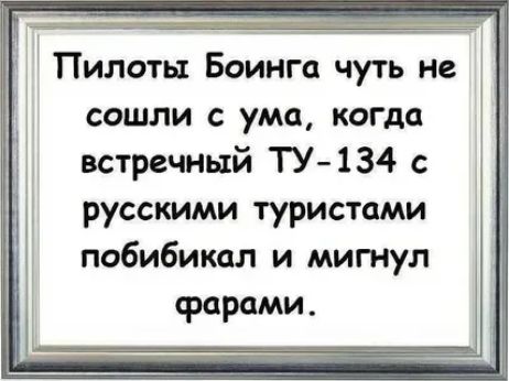 сошли с ума когда встречный ТУ134 русскими туристами побибикол и мигнул
