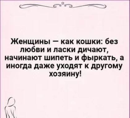 их 703 _ Женщины как кошки без любви и ласки дичают начинают шипеть и фыркать а иногда даже уходят к другому хозяину р г