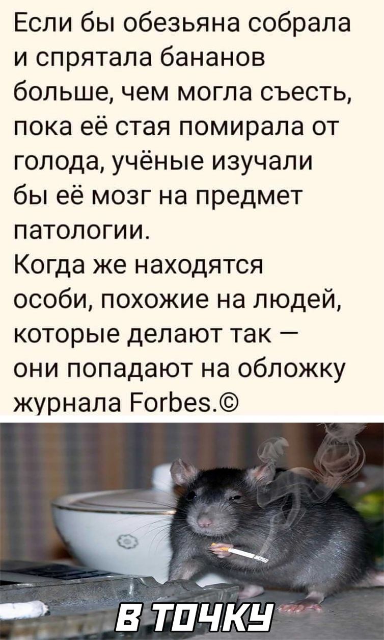 Если бы обезьяна собрала и спрятала бананов больше чем могла съесть пока её стая помирала от голода учёные изучали бы её мозг на предмет патологии Когда же находятся особи похожие на людей которые делают так они попадают на обложку журнала РогЬез