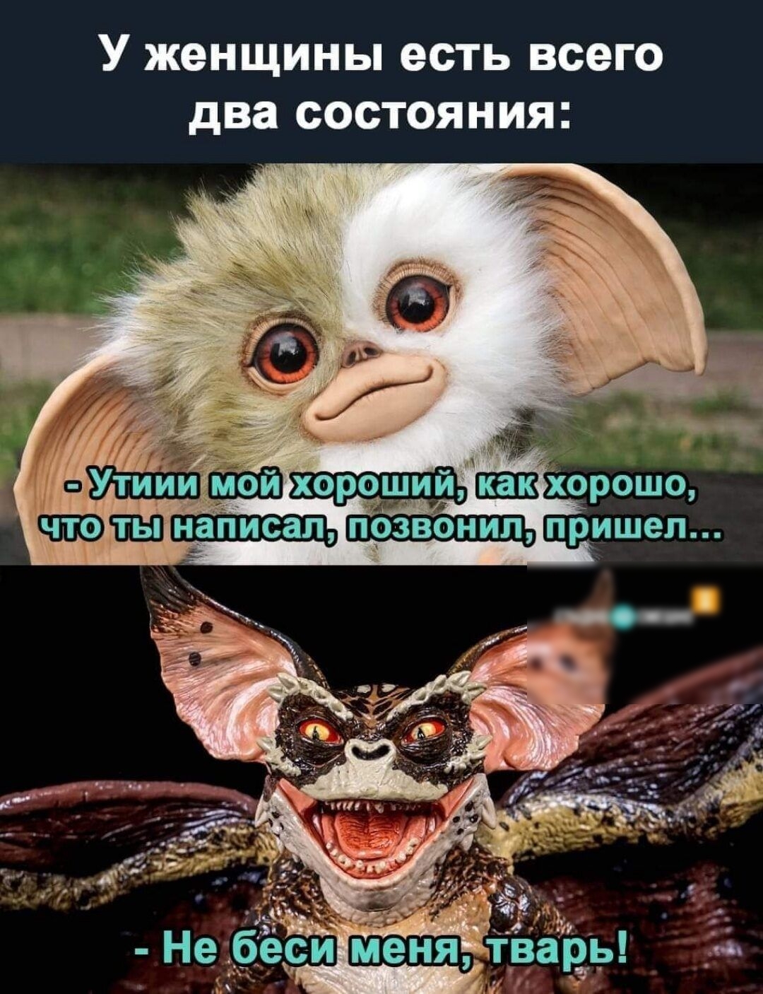 У женщины есть всего два состояния