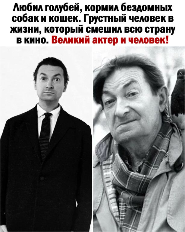 Аюбид голубей кормил бездомных собак и кошек Грустный человек в жизни который смешин всю страну в кино
