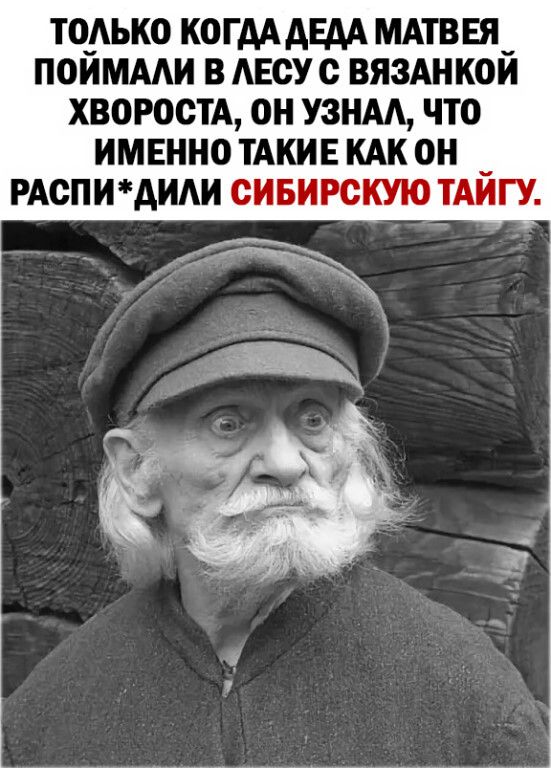 ТОАЬКО КОГАА АЕАА МАТВЕЯ ПОИМААИ В АБСУ с ВЯЗАНКОИ ХВОРОСТА ОН УЗНАА ЧТО ИМЕННО ТАКИЕ КАК ОН _ РАСПИАИАИ СИБИРСКУЮ ТАИГУ