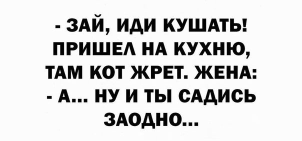 3Ай иди КУШАТЬ пришед нд кухню тАм кот жрет ЖЕНА А ну и ты сАдись здодно