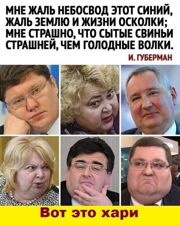 МНЕ ЖАЛЬ НЕБОСВОД ЭТОТ СИНИЙ ЖАЛЬ ЗЕМЛЮ И ЖИЗНИ ОСКОЛКИ МНЕ СТРАШНО ЧТО СЫТЫЕ СВИНЬИ СГ РАШНЕИ ЧЕМ ГОЛОДНЫЕ водки и ГУБЕРМАН _Вот это хари