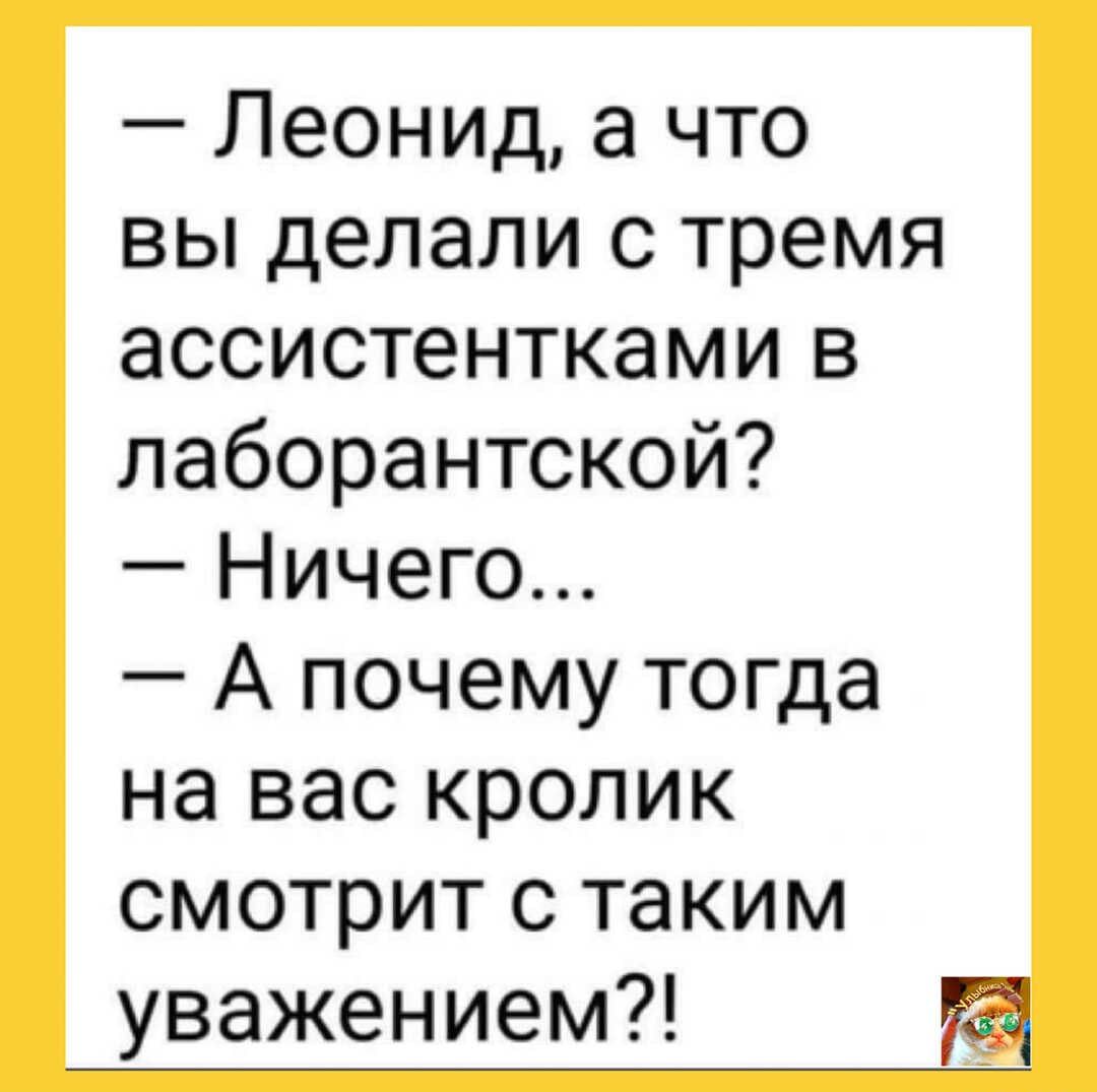 Леонид а что вы делали с тремя ассистентками в лаборантской Ничего А почему тогда на вас кролик смотрит с таким уважением