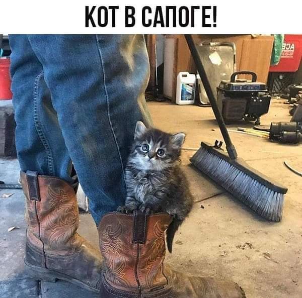 Кот в сапоге'
