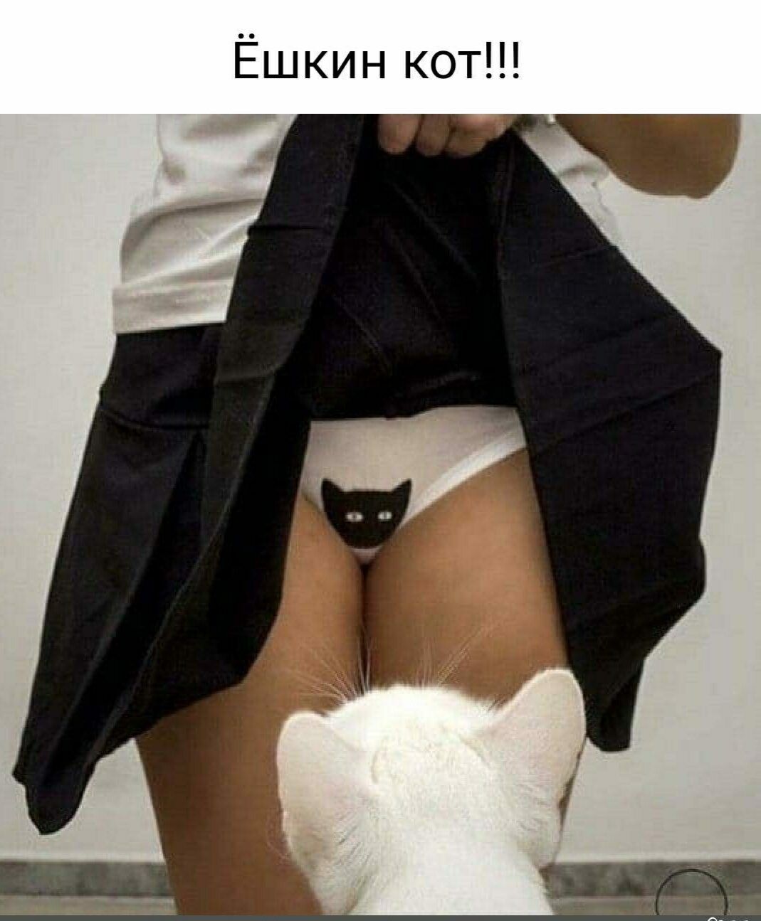 Ешкин кот