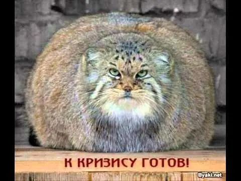 _ двд К КРПЗНСУ ГОТОВ 1 Е