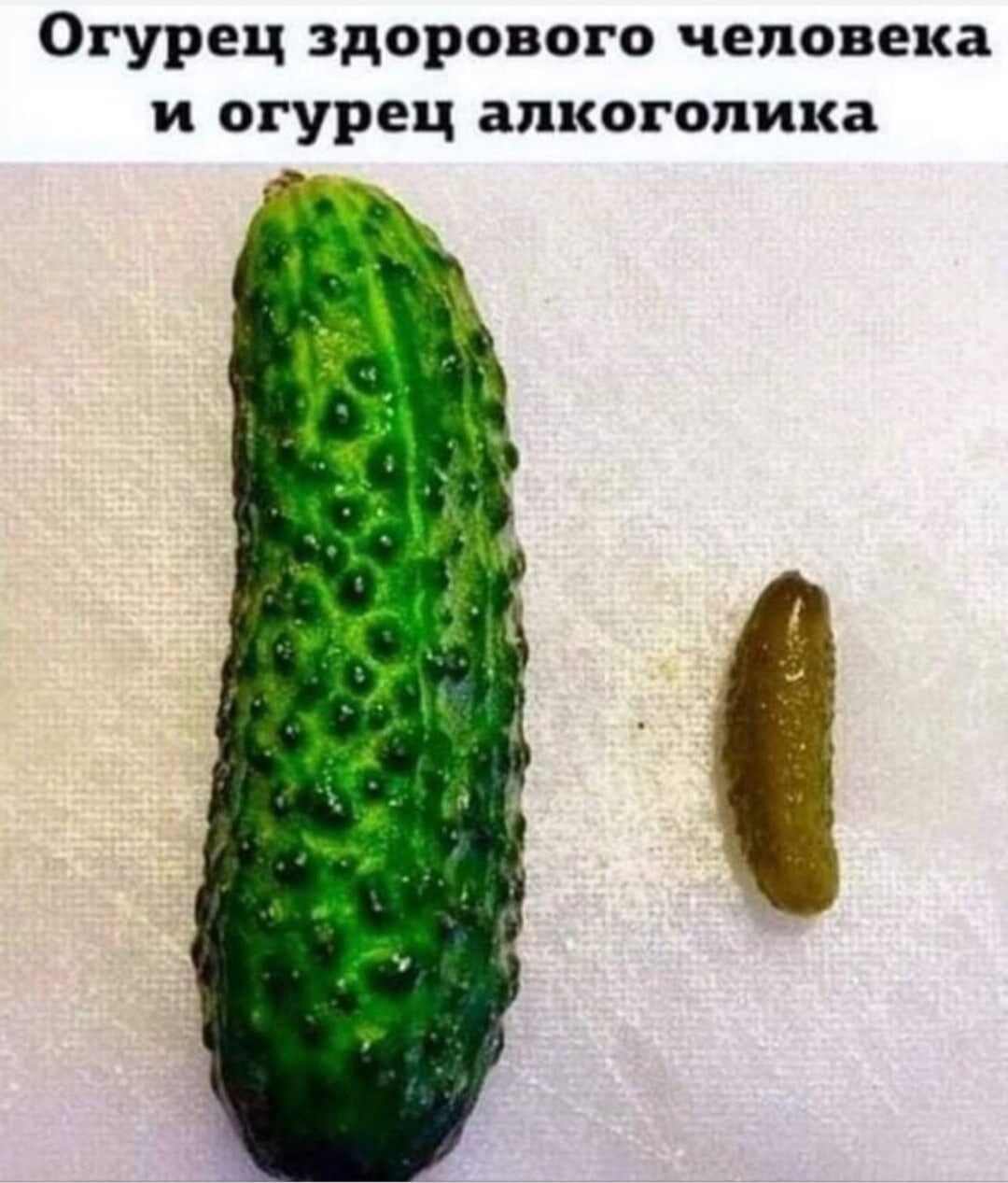 Огурец здорового человека и огурец алкоголика