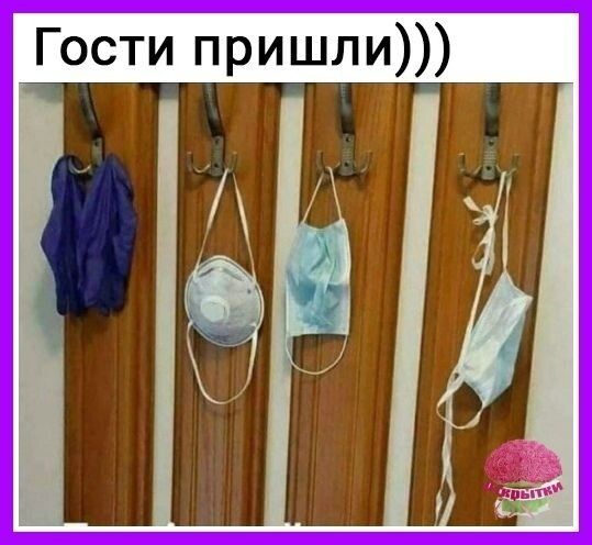 Гости пришли