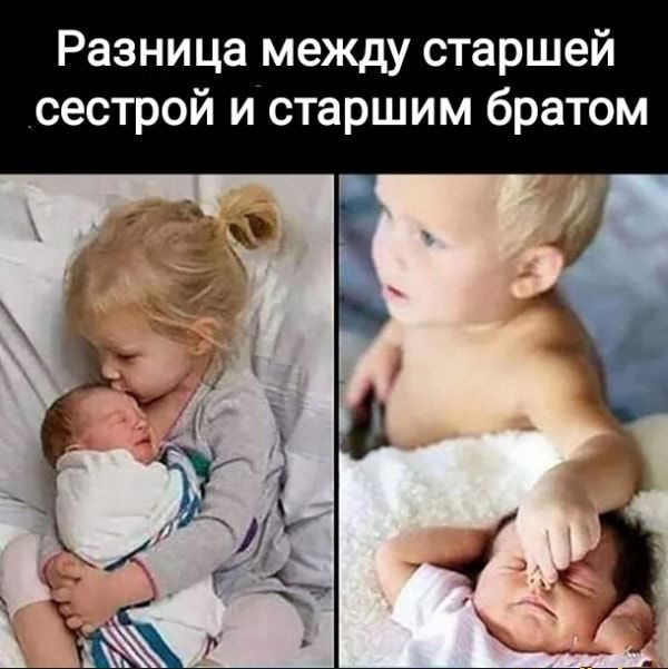 Разница между старшей сестрой и старшим братом