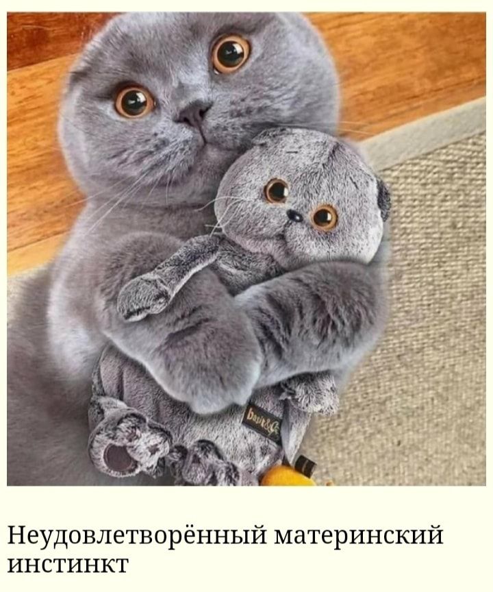 Неудовлетворённый материнский инстинкт