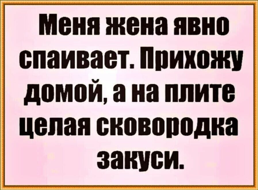 меня жена явно спаивает ппихонш домой а на плите целая сковородка ЗШШБИ