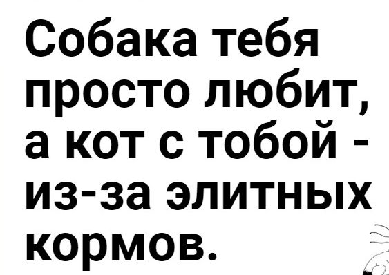 Собака тебя просто любит а кот с тобой из за элитных кормов