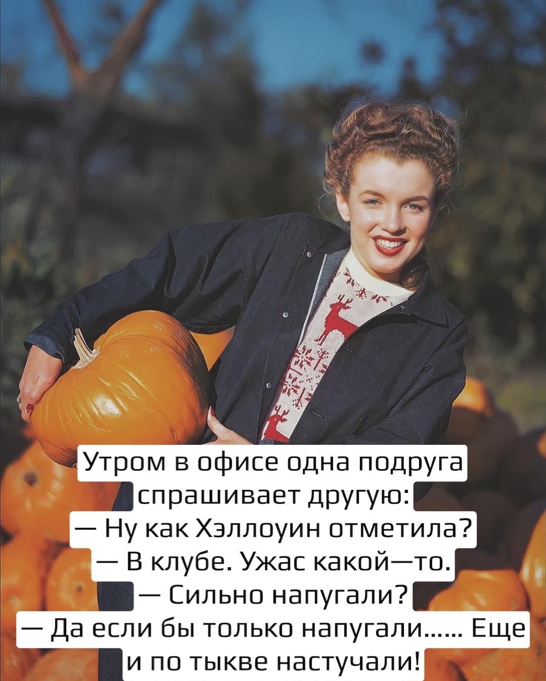 Сильно напугали _ Да если бы только напугали Еще и по тыкве настучали