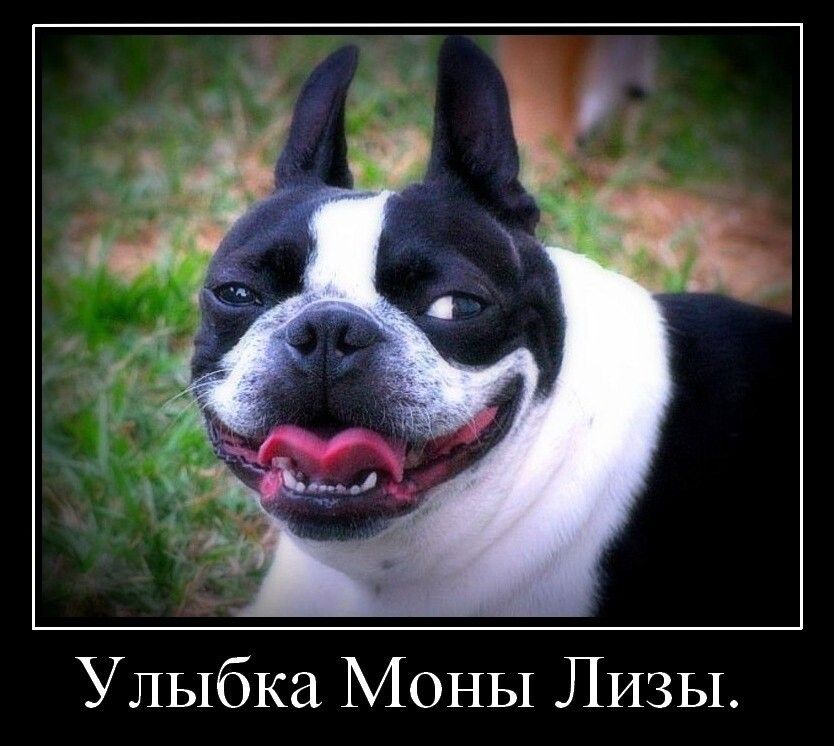 Улыбка Моны ЛИЗЫ