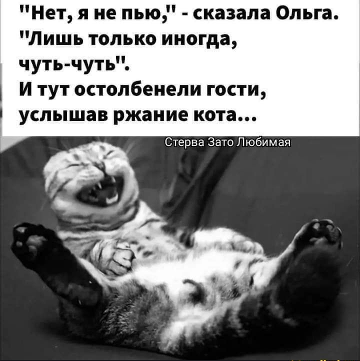 Нет я не пью сказала Ольга Лишь только иногда чуть чуть И тут остолбенели гости услышав ржаиие кота Стерва Зато Л юбимая