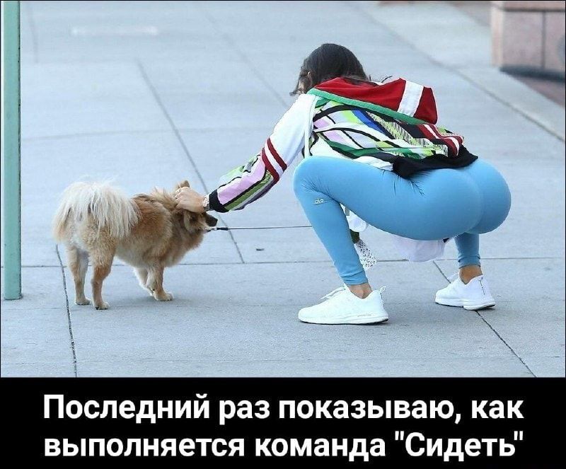 Последний раз показываю как выполняется команда Сидеть