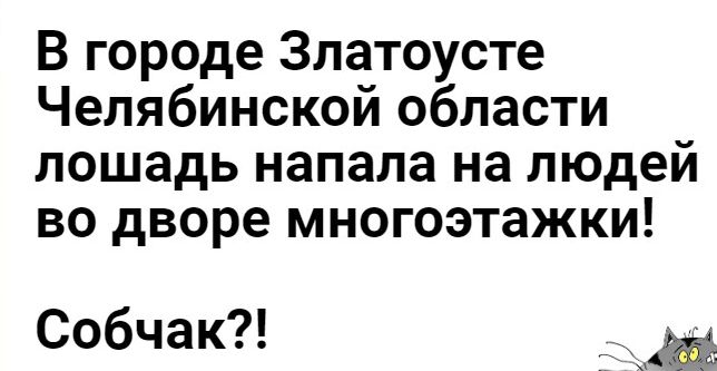 В городе Златоусте Челябинскойобласти лошадь напала на людей во дворе многоэтажки Собчак