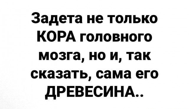 Задета не только КОРА головного мозга но и так сказать сама его ДРЕВЕСИНА