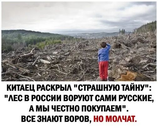 КИТАЕЦ РАСКРЫА СТРАШНУЮ ТАЙНУ АЕС В РОССИИ ВОРУЮТ САМИ РУССКИЕ А МЫ ЧЕСПЮ ПОКУПАЕМ ВСЕ ЗНАЮТ ВОРОВ НО МОАЧАТ