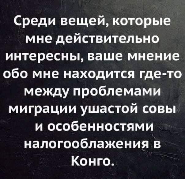 Среди вещей которые мне действительно интересны ваше мнение обо мне находится где то между проблемами миграции ушастой совы и особенностями налогооблажения в Конго